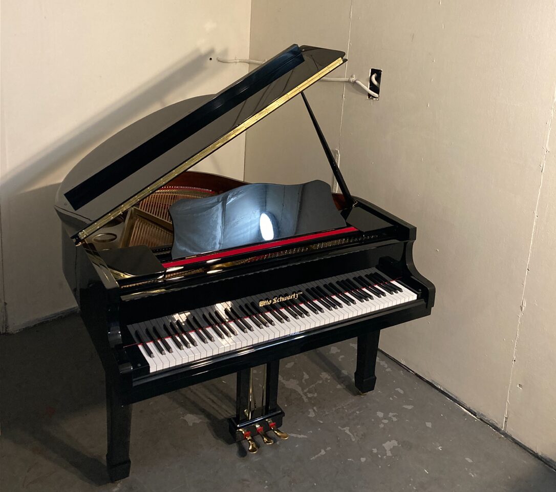 Otto Schwartz Baby Grand with open top