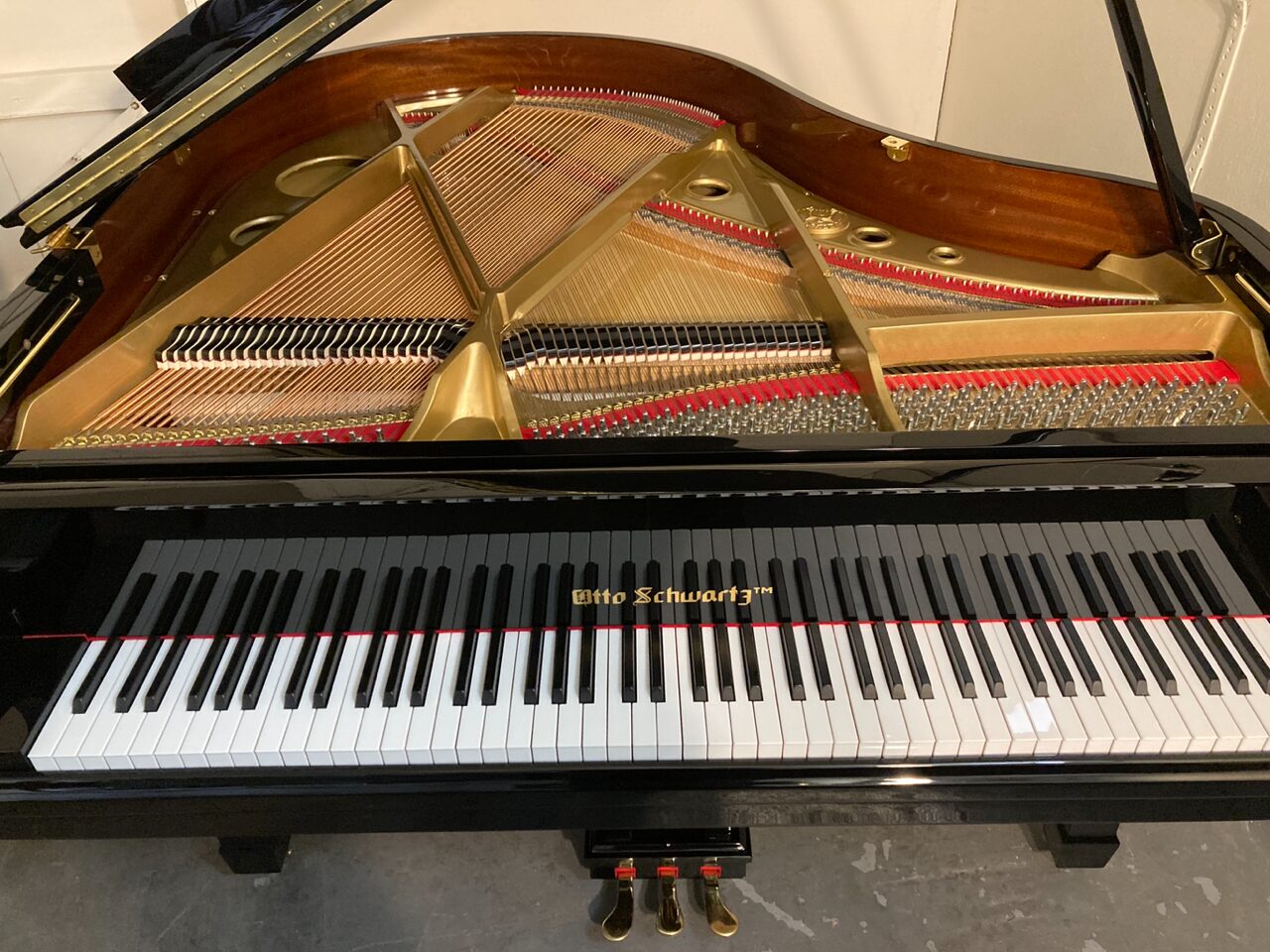 Looking inside Otto Schwartz Baby Grand